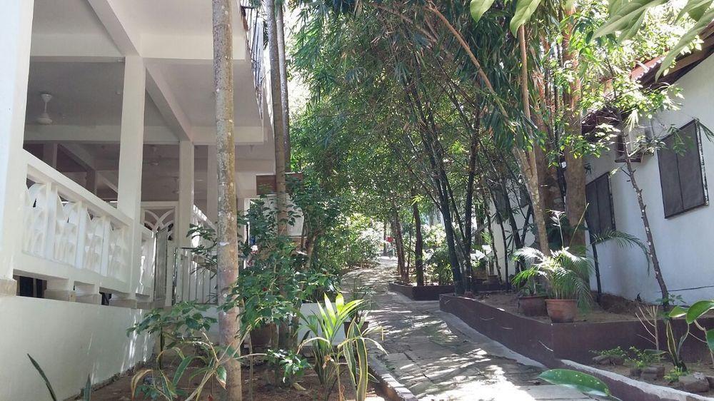 Perhentian Tropicana Inn Pulau Perhentian Kecil Eksteriør billede